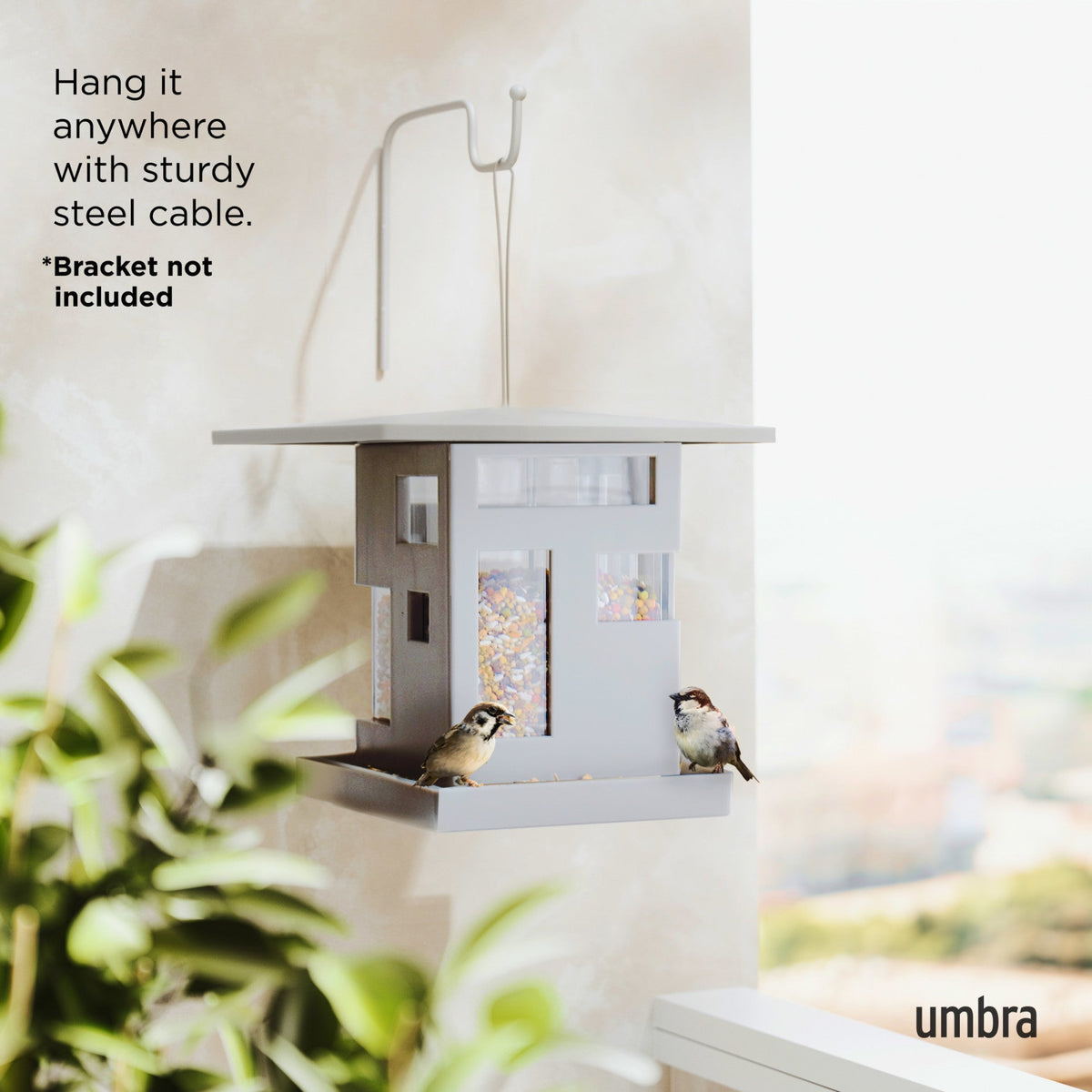 Bird Cafe